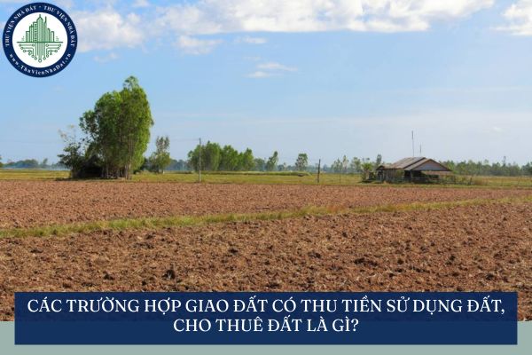 Các trường hợp giao đất có thu tiền sử dụng đất, cho thuê đất là gì?