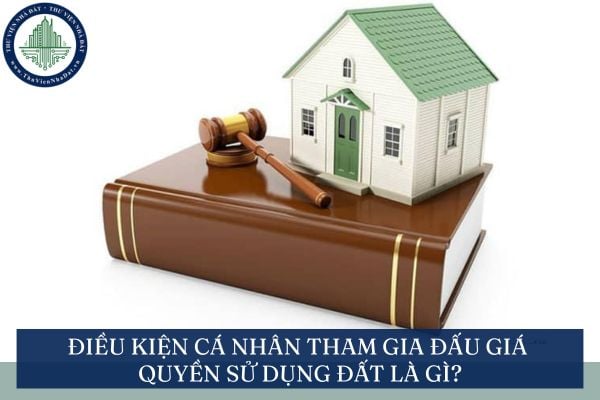 Điều kiện cá nhân tham gia đấu giá quyền sử dụng đất năm 2025 là gì?
