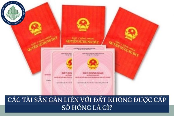 Các tài sản gắn liền với đất không được cấp sổ hồng là gì?