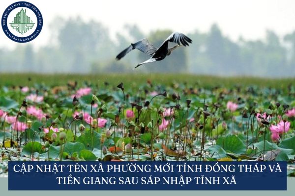 Cập nhật tên xã phường mới tỉnh Đồng Tháp và Tiền Giang sau sáp nhập tỉnh xã tại Nghị quyết 1663