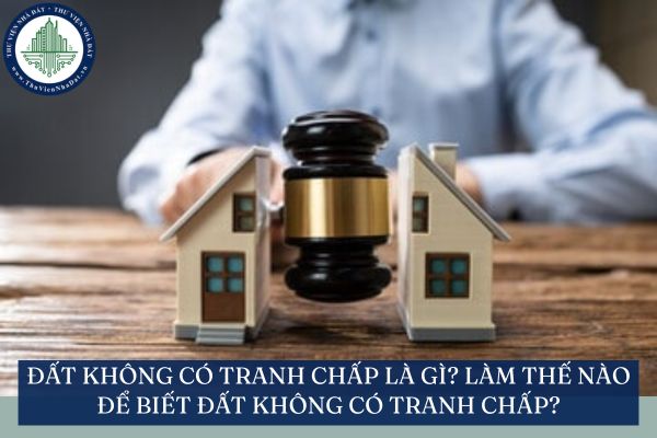 Đất không có tranh chấp là gì? Làm thế nào để biết đất không có tranh chấp?