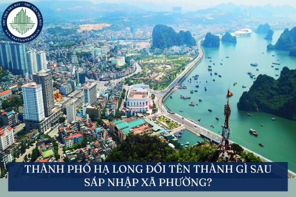 Thành phố Hạ Long đổi tên thành gì sau sáp nhập xã phường? TP Hạ Long Quảng Ninh sau sáp nhập tỉnh?