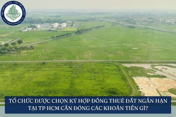 Tổ chức được chọn ký hợp đồng thuê đất ngắn hạn tại TP HCM cần đóng các khoản tiền gì?
