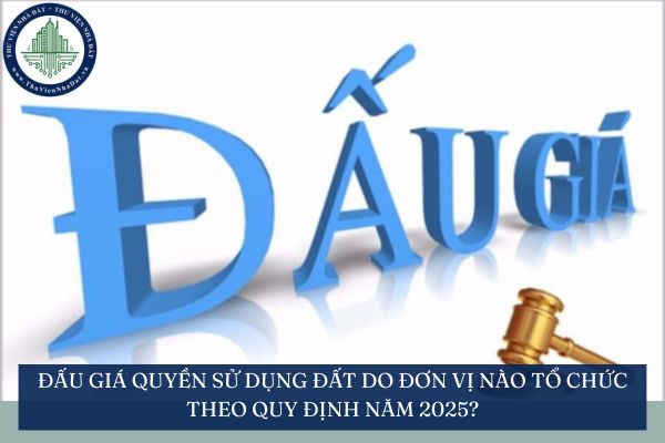 Đấu giá quyền sử dụng đất do đơn vị nào tổ chức theo quy định năm 2025?