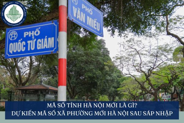 Mã số tỉnh Hà Nội mới là gì? Dự kiến mã số xã phường mới Hà Nội sau sáp nhập