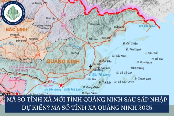 Mã số tỉnh xã mới tỉnh Quảng Ninh sau sáp nhập dự kiến? Mã số tỉnh xã Quảng Ninh 2025