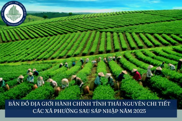 Bản đồ địa giới hành chính tỉnh Thái Nguyên chi tiết các xã phường sau sáp nhập năm 2025