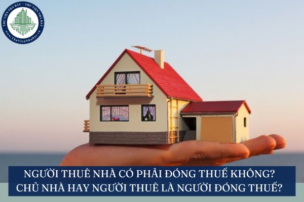 Người thuê nhà có phải đóng thuế không? Chủ nhà hay người thuê là người đóng thuế?