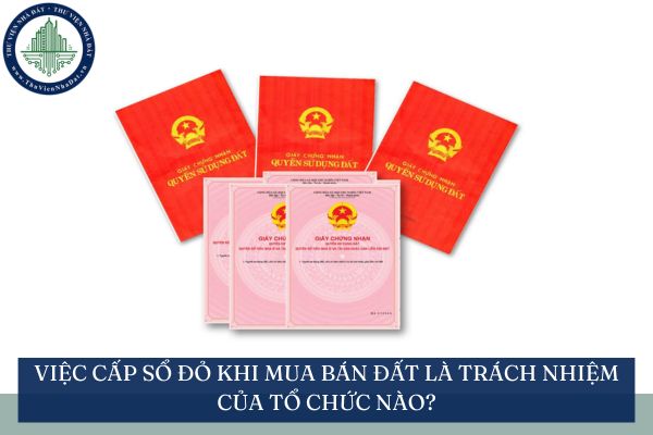 Việc cấp sổ đỏ khi mua bán đất là trách nhiệm của tổ chức nào?