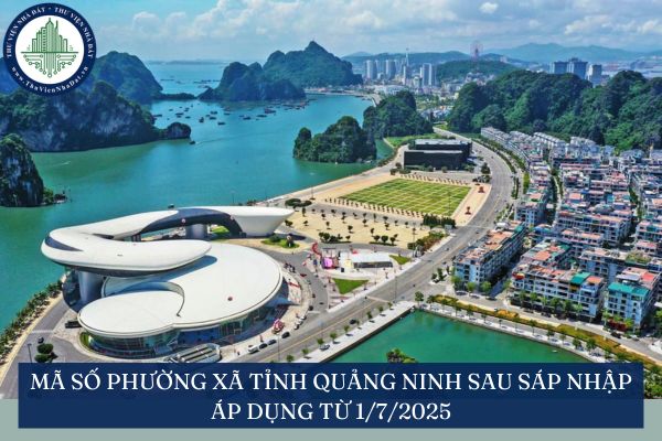 Mã số phường xã tỉnh Quảng Ninh sau sáp nhập áp dụng từ 1/7/2025