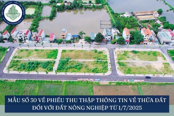 Mẫu số 30 về Phiếu thu thập thông tin về thửa đất đối với đất nông nghiệp từ 1/7/2025