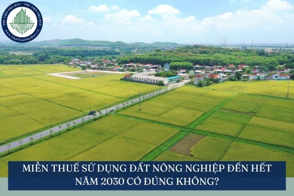 Miễn thuế sử dụng đất nông nghiệp đến hết năm 2030 có đúng không?