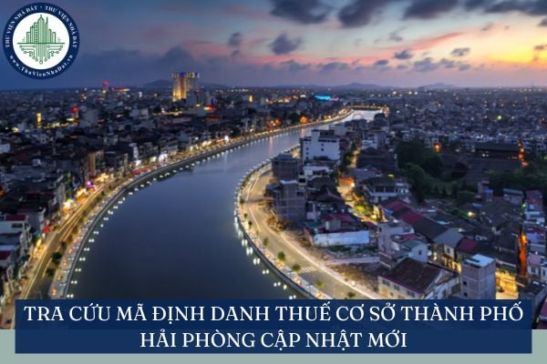 Tra cứu mã định danh thuế cơ sở thành phố Hải Phòng cập nhật mới
