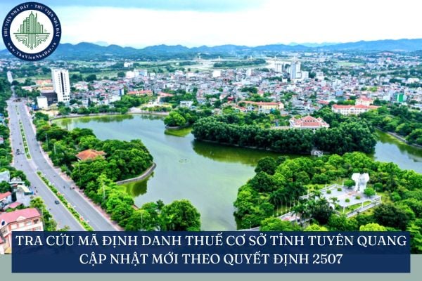Tra cứu mã định danh thuế cơ sở tỉnh Tuyên Quang cập nhật mới theo Quyết định 2507