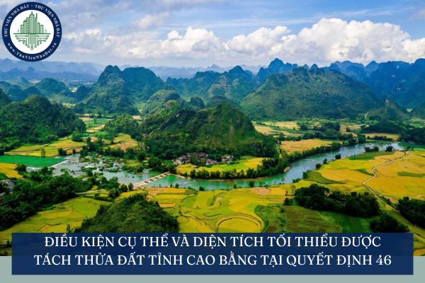 thuviennhadat.vn