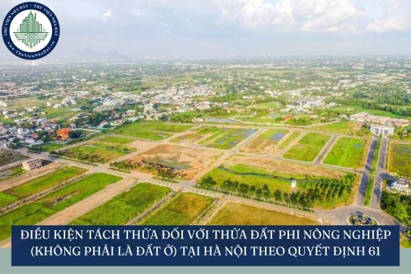 Điều kiện tách thửa đối với thửa đất phi nông nghiệp (không phải là đất ở) tại Hà Nội theo Quyết định 61