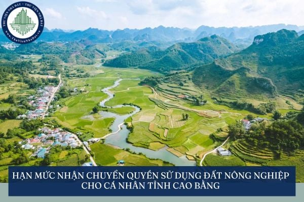 Hạn mức nhận chuyển quyền sử dụng đất nông nghiệp cho cá nhân tỉnh Cao Bằng