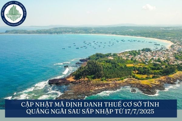 Cập nhật mã định danh thuế cơ sở tỉnh Quảng Ngãi sau sáp nhập từ 17/7/2025