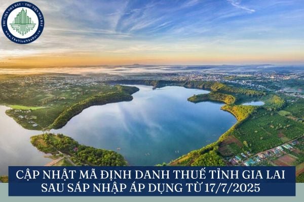 Cập nhật mã định danh thuế tỉnh Gia Lai sau sáp nhập áp dụng từ 17/7/2025