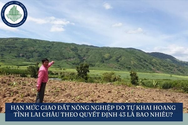 Hạn mức giao đất nông nghiệp do tự khai hoang tỉnh Lai Châu theo Quyết định 43 là bao nhiêu?