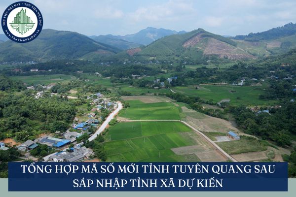 Tổng hợp mã số mới tỉnh Tuyên Quang sau sáp nhập tỉnh xã dự kiến