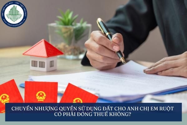 Chuyển nhượng quyền sử dụng đất cho anh chị em ruột có phải đóng thuế không?