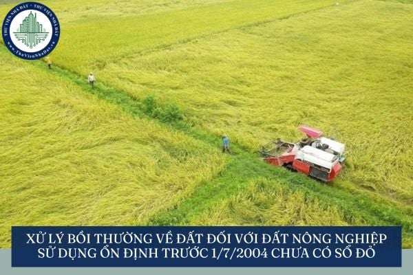 Xử lý bồi thường về đất đối với đất nông nghiệp sử dụng ổn định trước 1/7/2004 chưa có sổ đỏ ra sao?