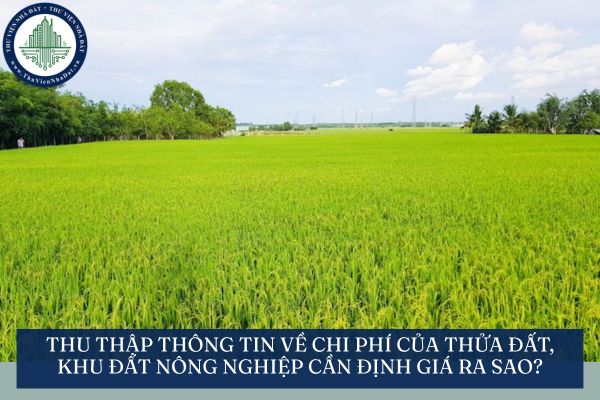 Thu thập thông tin về chi phí của thửa đất, khu đất nông nghiệp cần định giá ra sao?