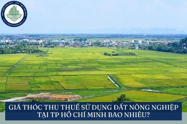 Giá thóc thu thuế sử dụng đất nông nghiệp tại TP Hồ Chí Minh bao nhiêu?