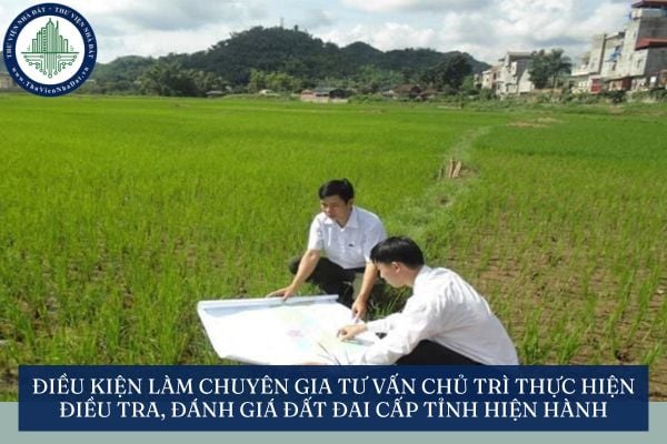 Điều kiện làm chuyên gia tư vấn chủ trì thực hiện điều tra, đánh giá đất đai cấp tỉnh hiện hành