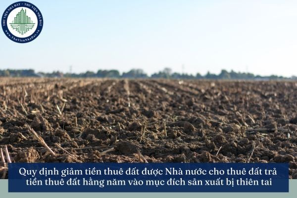 Quy định giảm tiền thuê đất được Nhà nước cho thuê đất trả tiền thuê đất hằng năm vào mục đích sản xuất bị thiên tai