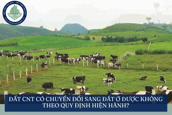 Đất CNT có chuyển đổi sang đất ở được không theo quy định hiện hành?