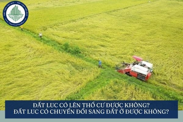 Đất LUC có lên thổ cư được không? Đất LUC có chuyển đổi sang đất ở được không?