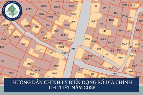 Hướng dẫn chỉnh lý biến động Sổ địa chính chi tiết năm 2025