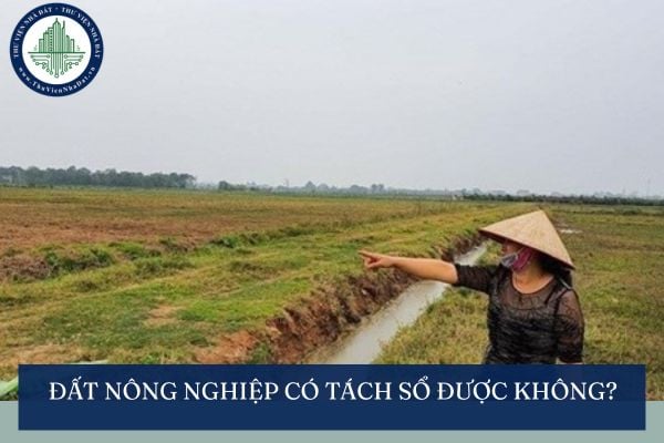 Đất nông nghiệp có tách sổ được không? Bố mẹ tách sổ đỏ cho con mất bao nhiêu tiền?