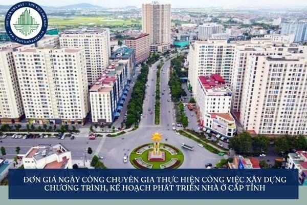 Đơn giá ngày công chuyên gia thực hiện công việc xây dựng chương trình, kế hoạch phát triển nhà ở cấp tỉnh
