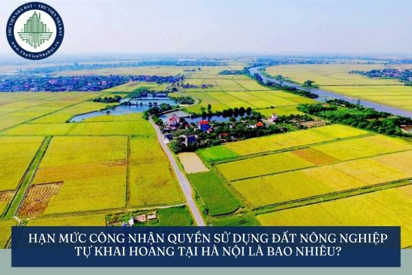 Hạn mức công nhận quyền sử dụng đất nông nghiệp tự khai hoang tại Hà Nội là bao nhiêu?