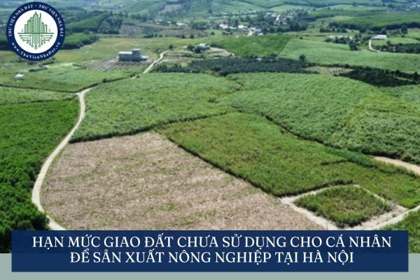Hạn mức giao đất chưa sử dụng cho cá nhân để sản xuất nông nghiệp tại Hà Nội