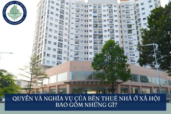 Quyền và nghĩa vụ của Bên thuê nhà ở xã hội bao gồm những gì?