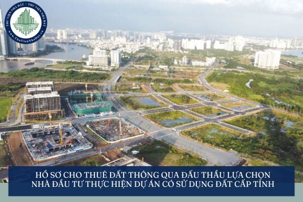 Hồ sơ cho thuê đất thông qua đấu thầu lựa chọn nhà đầu tư thực hiện dự án có sử dụng đất cấp tỉnh