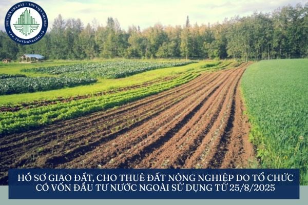 Hồ sơ giao đất, cho thuê đất nông nghiệp do tổ chức có vốn đầu tư nước ngoài sử dụng từ 25/8/2025