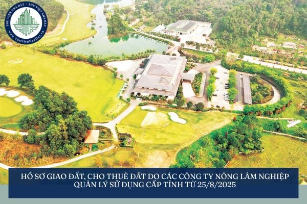 Hồ sơ giao đất, cho thuê đất do các công ty nông lâm nghiệp quản lý sử dụng cấp tỉnh từ 25/8/2025