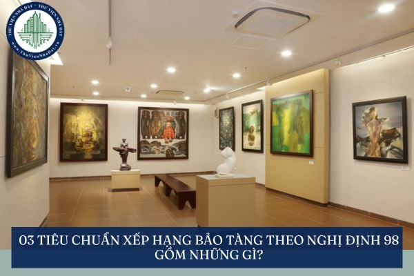 03 Tiêu chuẩn xếp hạng bảo tàng theo Nghị định 98 gồm những gì?