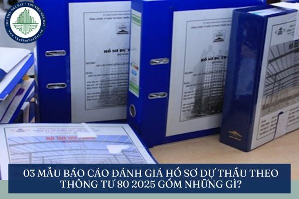 03 Mẫu báo cáo đánh giá hồ sơ dự thầu theo Thông tư 80 2025 gồm những gì?