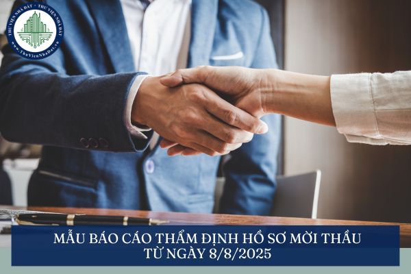 Mẫu báo cáo thẩm định hồ sơ mời thầu từ ngày 8/8/2025