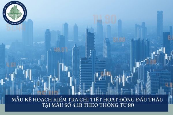 Mẫu Kế hoạch kiểm tra chi tiết hoạt động đấu thầu tại Mẫu số 4.1B theo Thông tư 80