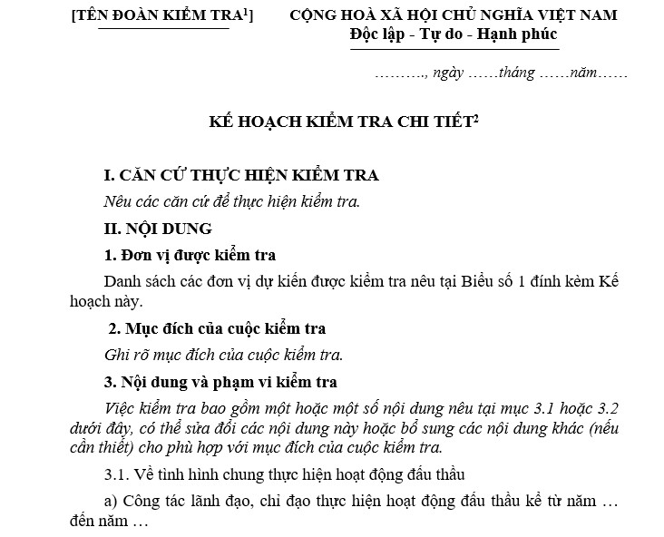 Mẫu Kế hoạch kiểm tra chi tiết hoạt động đấu thầu