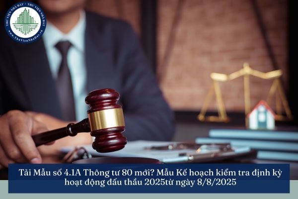 Tải Mẫu số 4.1A Thông tư 80 mới? Mẫu Kế hoạch kiểm tra định kỳ hoạt động đấu thầu 2025