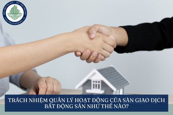 Trách nhiệm quản lý hoạt động của sàn giao dịch bất động sản như thế nào?