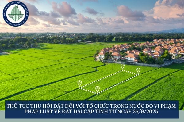Thủ tục thu hồi đất đối với tổ chức trong nước do vi phạm pháp luật về đất đai cấp tỉnh từ ngày 25/9/2025